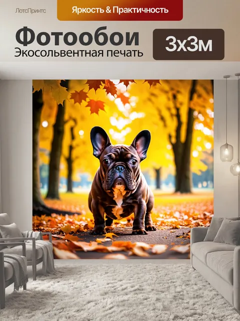Фотообои герда, французский бульдог, в осеннем парке, окруженная желтыми и оранжевыми листьями
