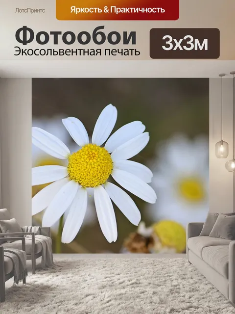Фотообои Ромашка