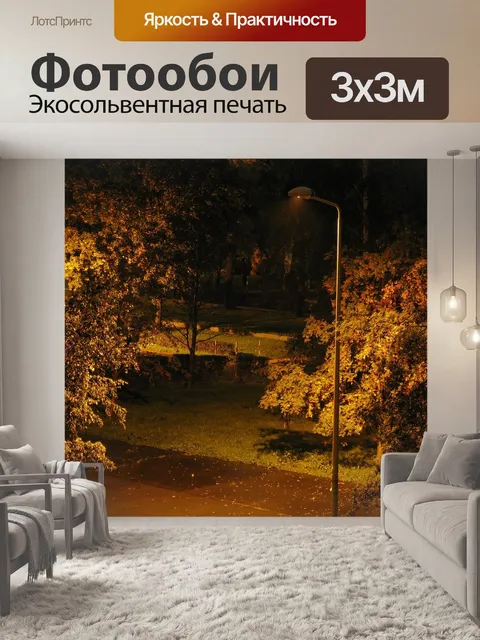 Фотообои Задний двор