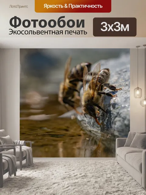 Фотообои Пчела