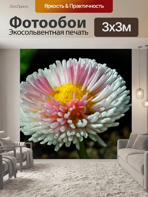 Фотообои Дейзи