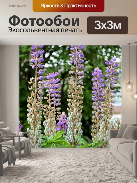 Фотообои Голландские цветы в саду