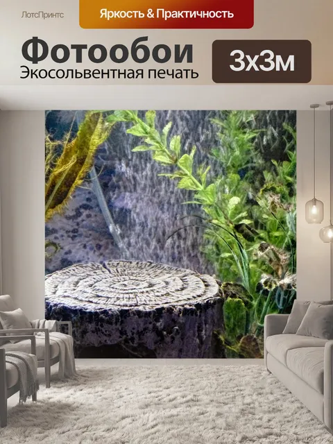 Фотообои Аквариум Сцена