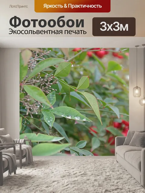 Фотообои Капли дождя на листьях