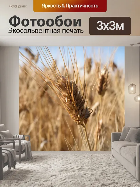 Фотообои Пшеница