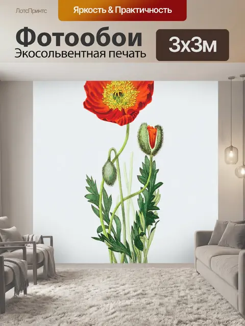 Фотообои Цветок мака винтаж старый