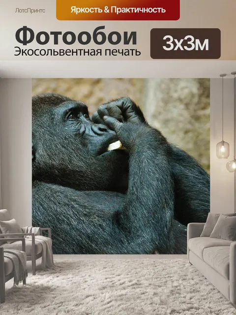 Фотообои Обезьяна