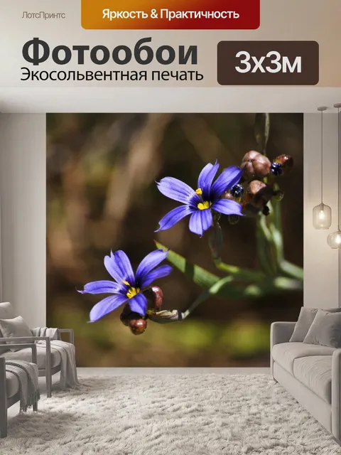 Фотообои Пара фиолетовые цветы