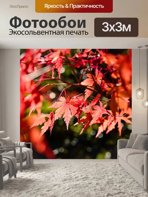 Фотообои Япония