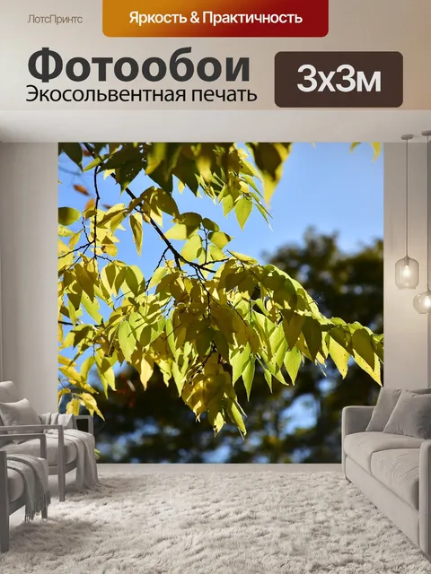 Фотообои Листья