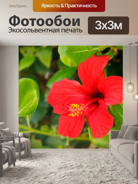 Фотообои Красный цветок гибискуса