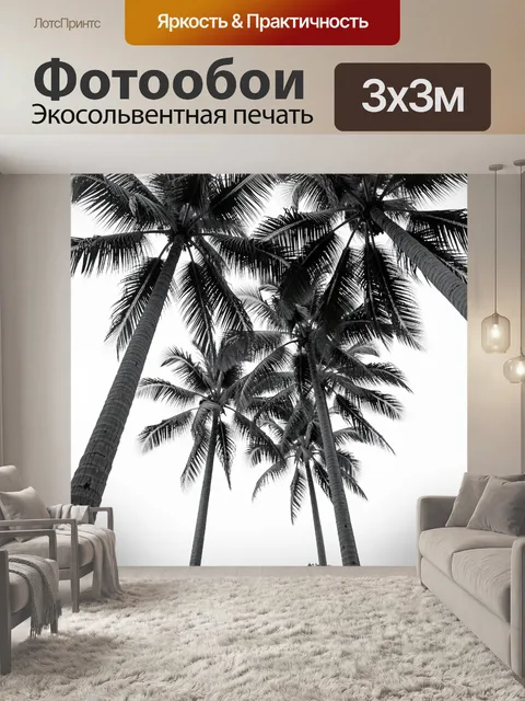 Фотообои Высокие пальмы на белом фоне