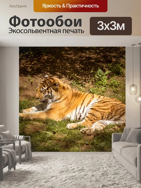 Фотообои тигр расслабляющий