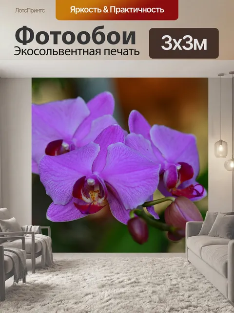 Фотообои Орхидеи