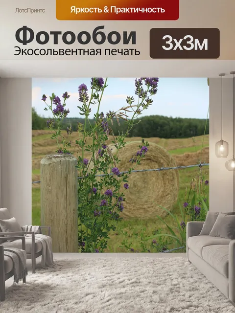 Фотообои Hay Тюки забор из колючей проволоки Farm