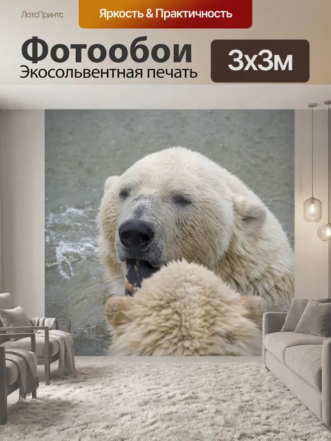 Фотообои Полярный медведь