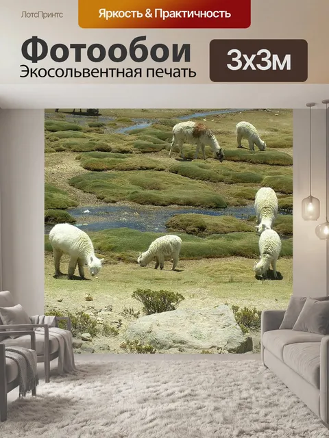 Фотообои Лама