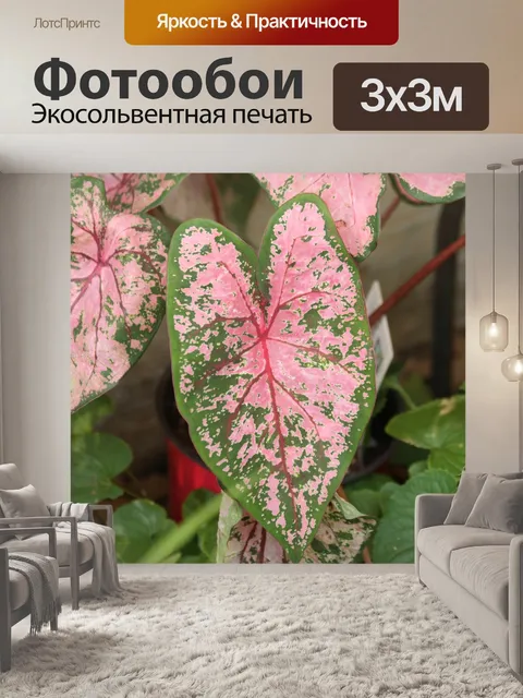 Фотообои Розовый и зеленый калади