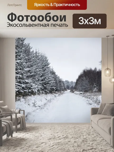 Фотообои Зимняя дорога