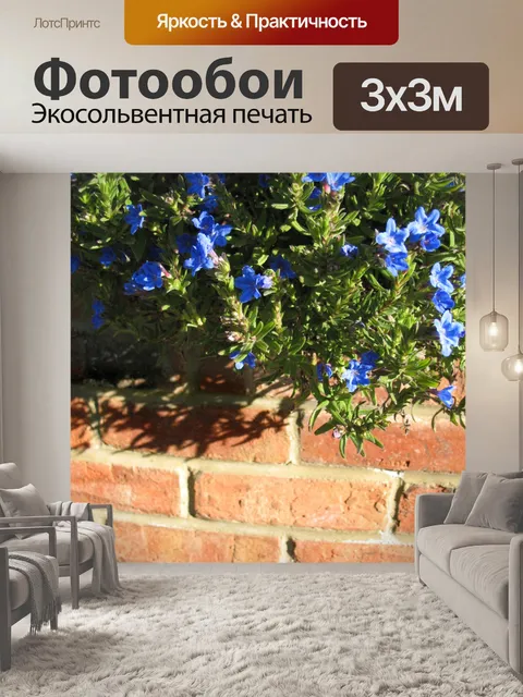 Фотообои Синие цветы и wall