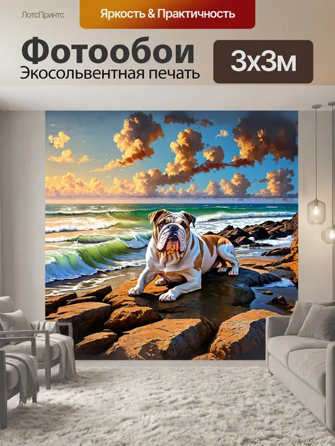 Фотообои английский бульдог покоится на каменистом побережье, где волны тихо накатываются на берег