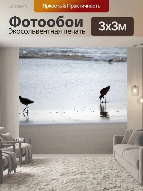 Фотообои Силуэты птиц