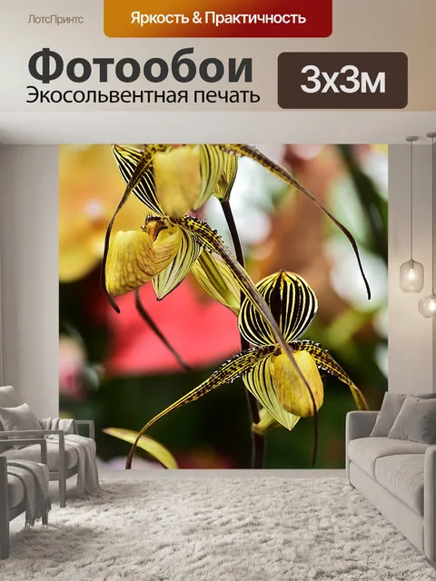Фотообои Цветок