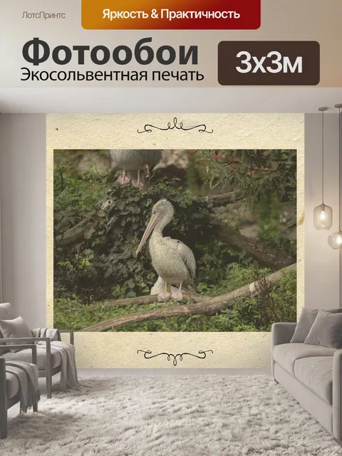 Фотообои Винтажная открытка с дикой природой