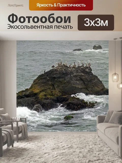 Фотообои Пеликаны