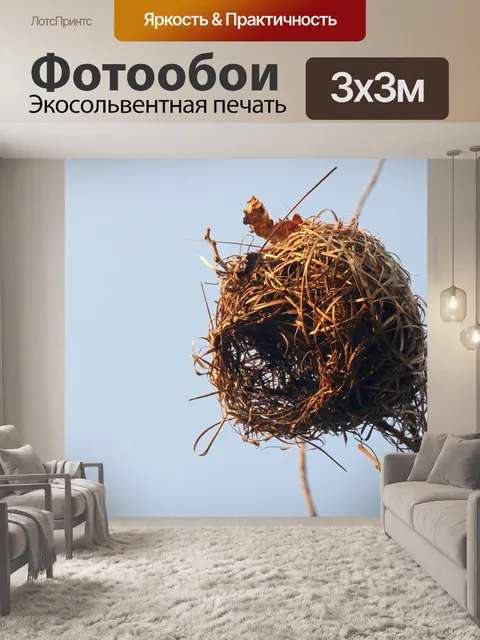 Фотообои дневной свет на гнезде ткача
