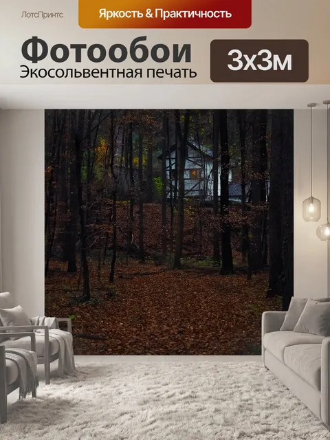 Фотообои Лес
