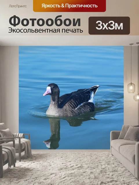 Фотообои Вода