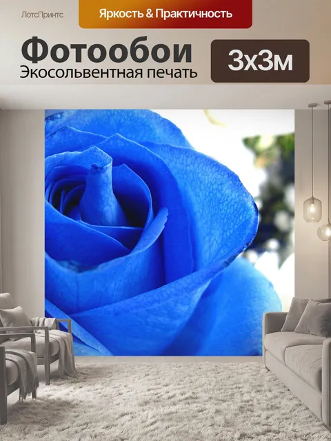 Фотообои Синяя роза