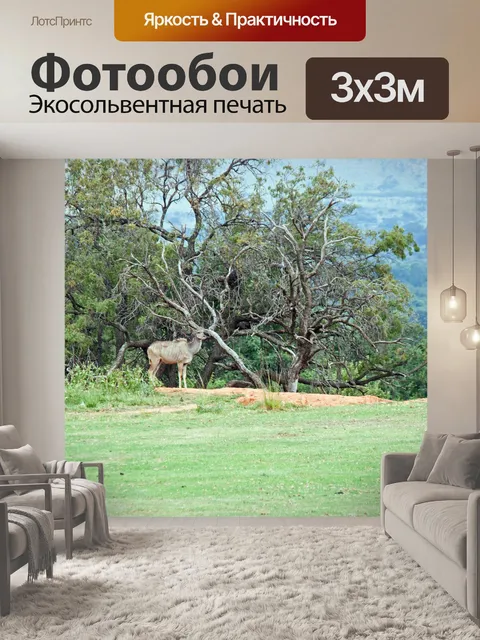 Фотообои Куду корова на краю зеленого поля