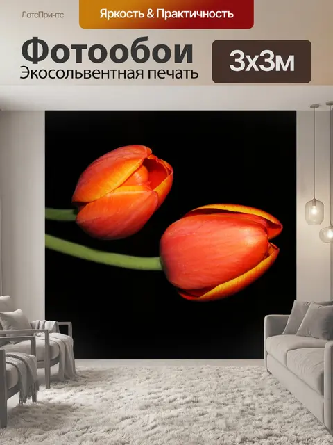Фотообои Тюльпаны