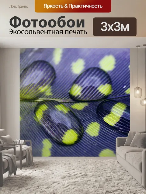 Фотообои Натюрморт фото из перьев капель