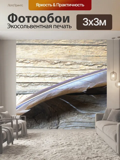 Фотообои вид сбоку серого пера
