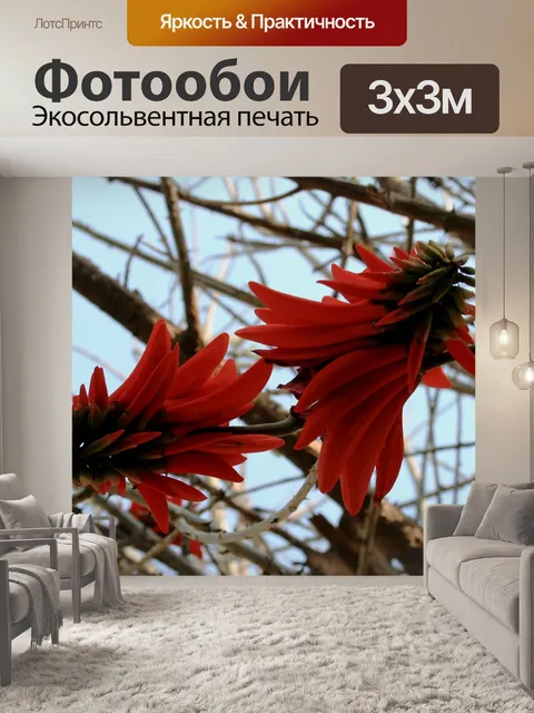 Фотообои Два цветка