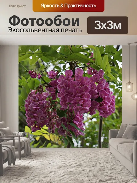 Фотообои Цветов акации