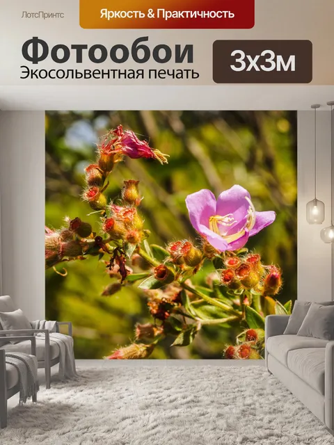 Фотообои Трава цветочное поле, полевые цветы