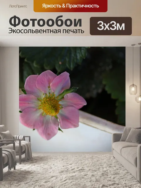 Фотообои нежный розовый цвет клубники