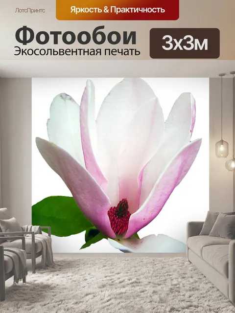 Фотообои Магнолия