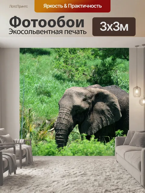 Фотообои Африканский слон в зеленый куст