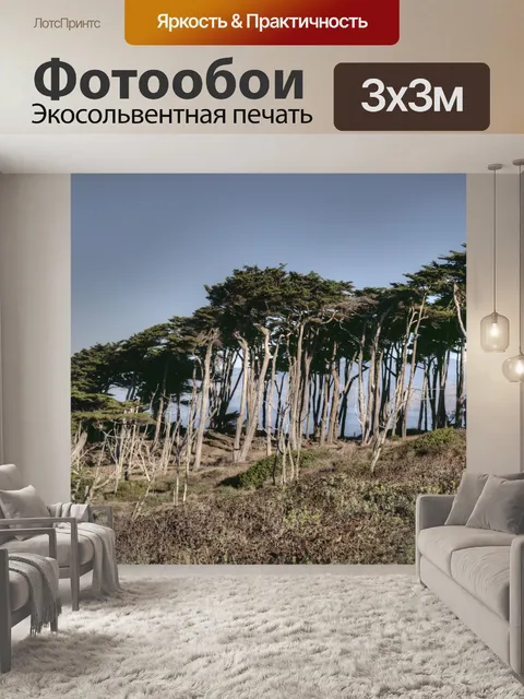 Фотообои Деревня кипарисов