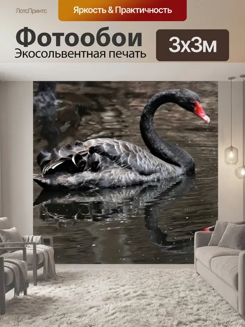 Фотообои Чернить