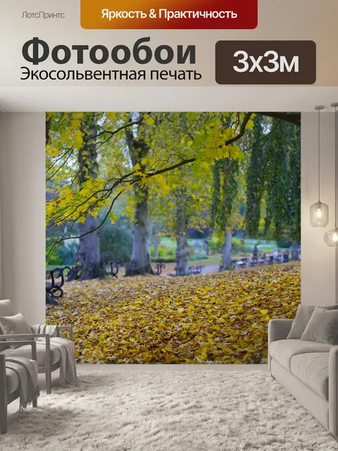 Фотообои Осень Времена года