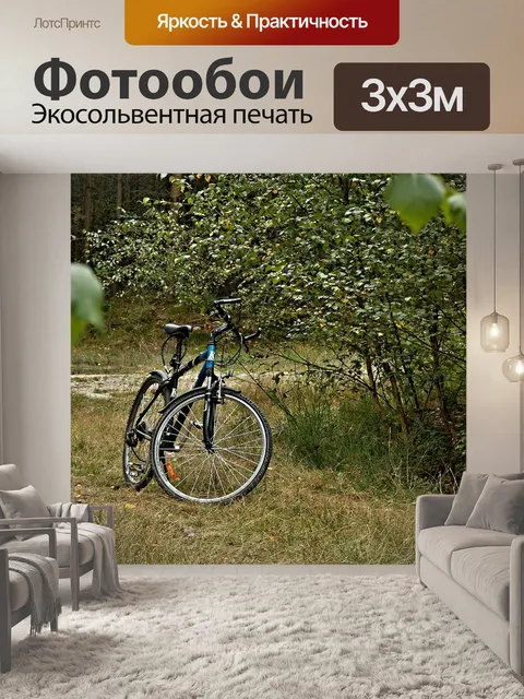 Фотообои Лесная дорога