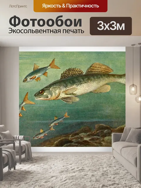 Фотообои Судак, пресноводная рыба, винтаж