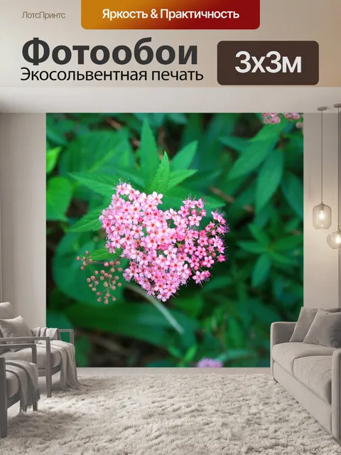 Фотообои спрей розовые цветы