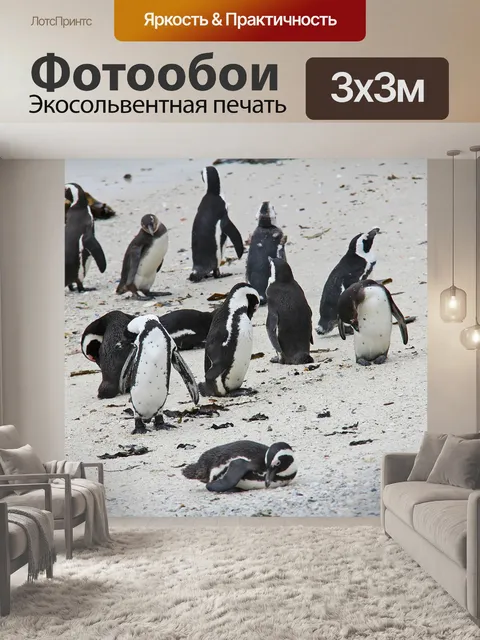 Фотообои Пингвин